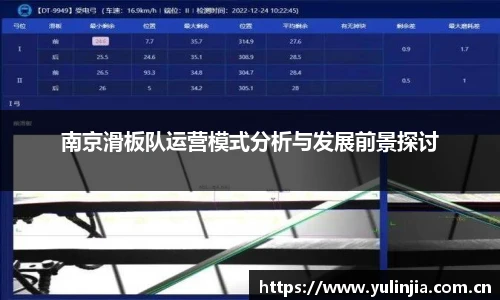 南京滑板队运营模式分析与发展前景探讨