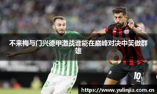 国际米兰中文网